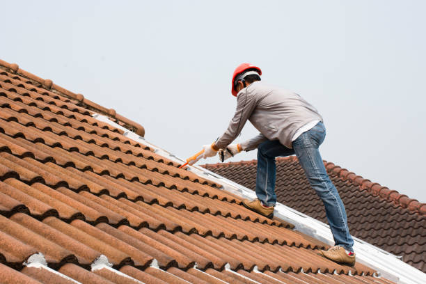 Best Emergency Roof Repair Services  in Parkland, FL